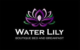 Water Lily Boutique B&B And Bungalow