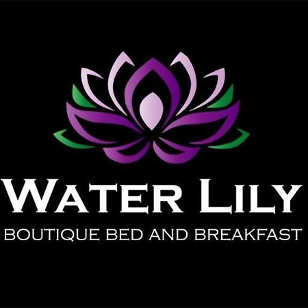 Water Lily Boutique B&B And Bungalow Hévíz Exteriér fotografie
